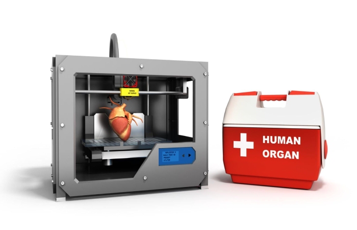 3d Bioprinting Mechanism