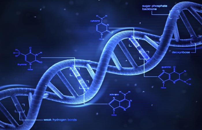 Malware Affecting the Physical World for Digital DNA