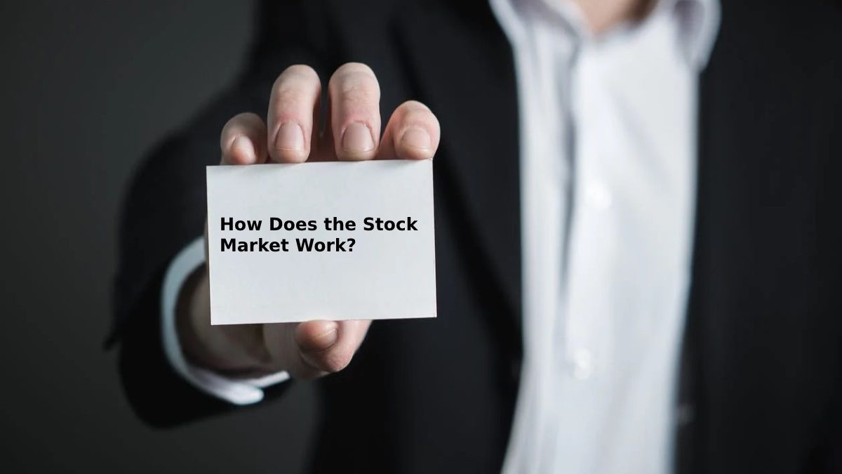 How Does the Stock Market Work?