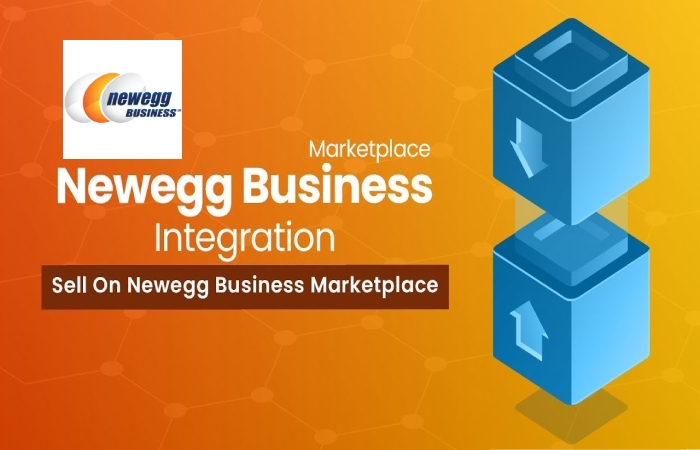 What is E-Commerce Newegg Business Integration_