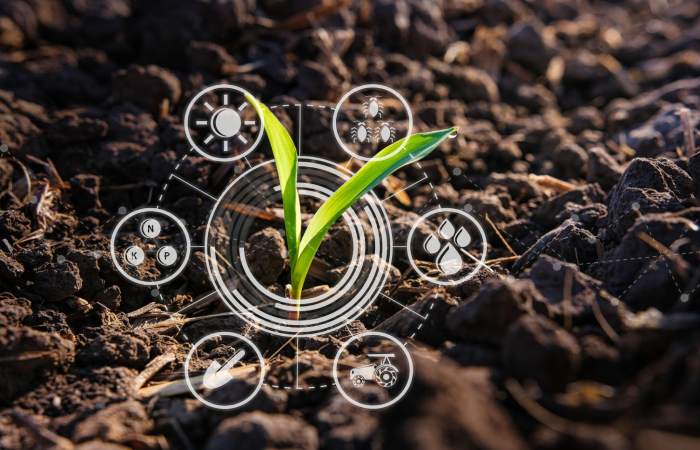 What is the Best Crop to Make Money in FS22_