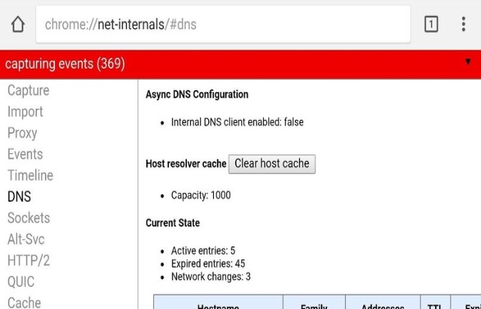 Access to Chrome ___Net-Internals_#DNS