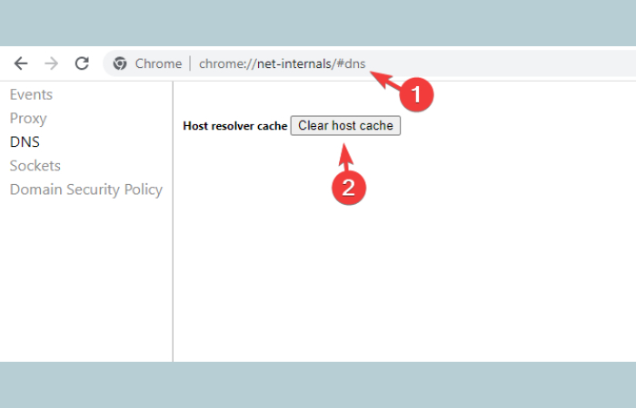 Troubleshooting Chrome Net Internals DNS