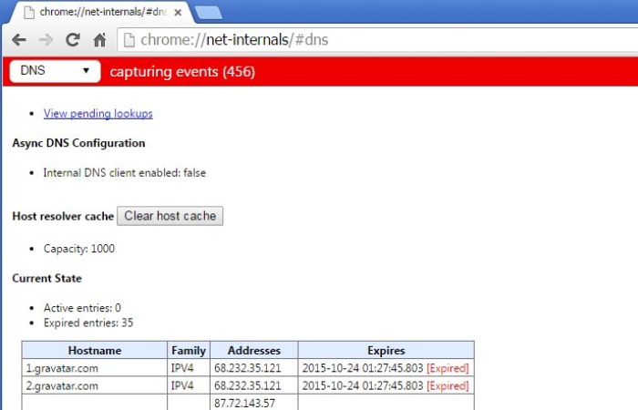 What is Chrome ___Net-Internals_#DNS_