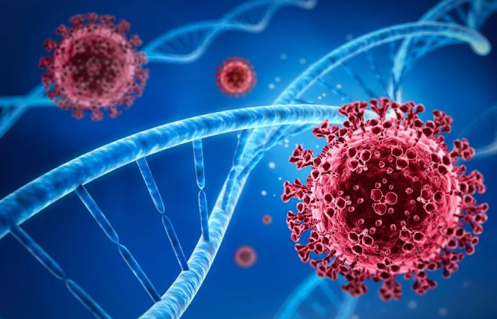 Potential Side Effects of the Zydus Coronavirus Vaccine