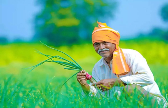 What is PM Kisan Scheme_