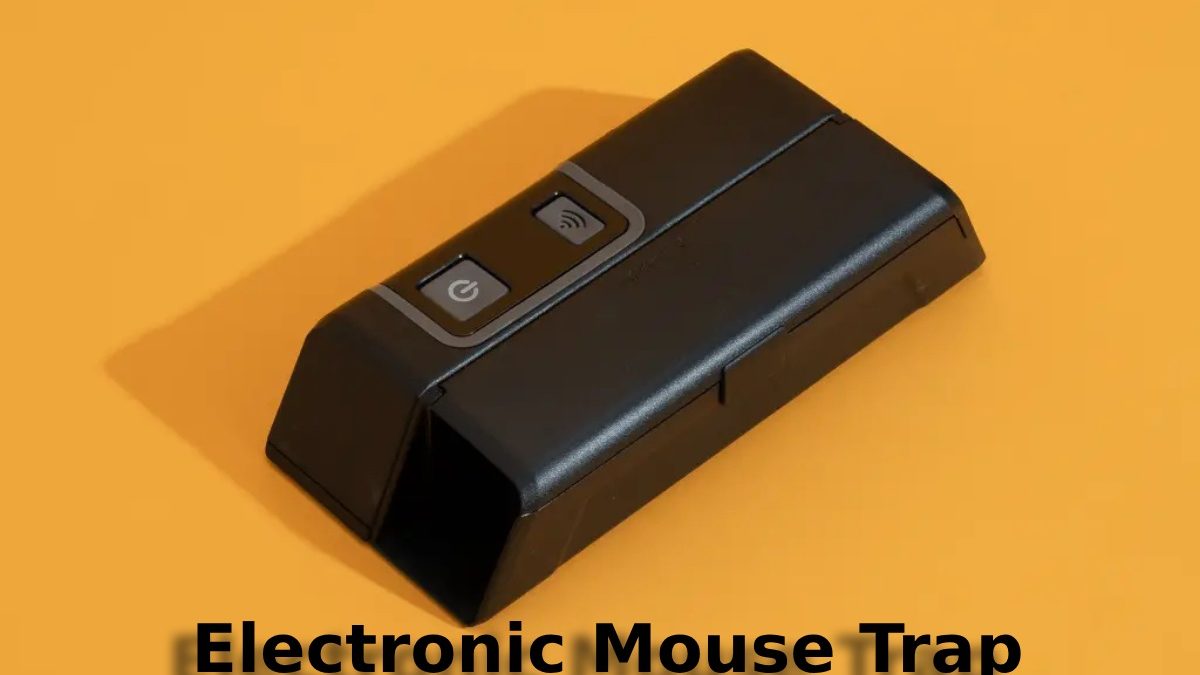 Electronic Mouse Trap Reviews: What You Need to Know