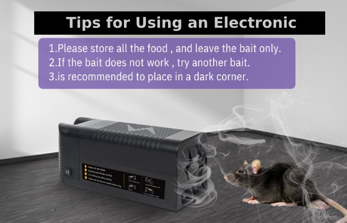 Tips for Using an Electronic Mouse Trap