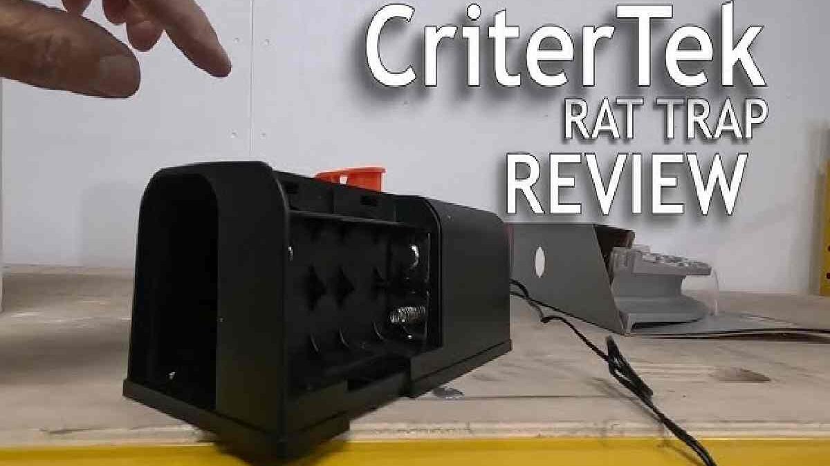 Electronic Mouse Trap Reviews: What You Need to Know
