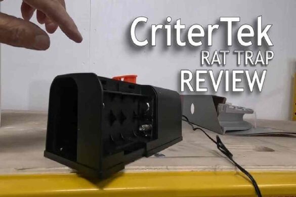Electronic Mouse Trap Reviews: What You Need to Know