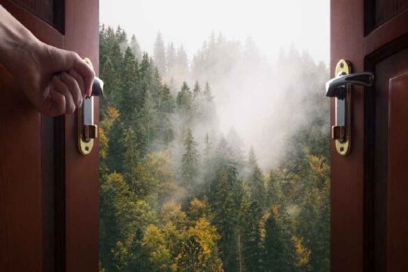 How Many Doors Are In The World Total