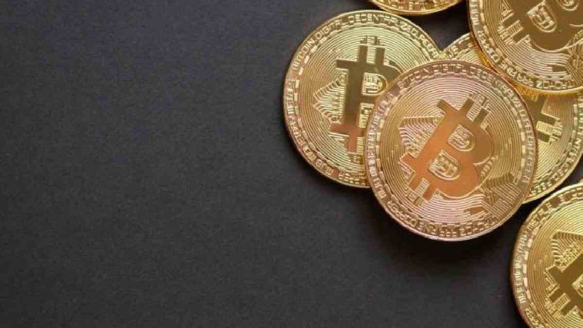 Ufoinu.com Ufoinu Coin – Everything You Should Know